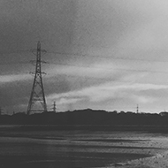 monochrome pylons in a field