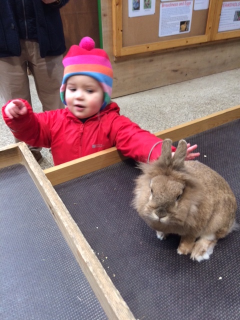 toddler and rabbit looking at camera