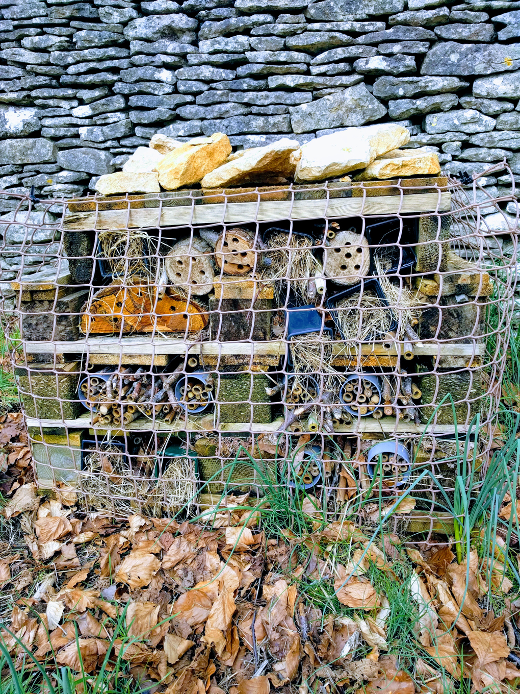 bug hotel