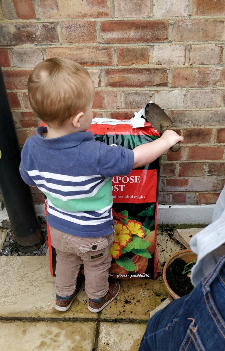 boy potting daffodils