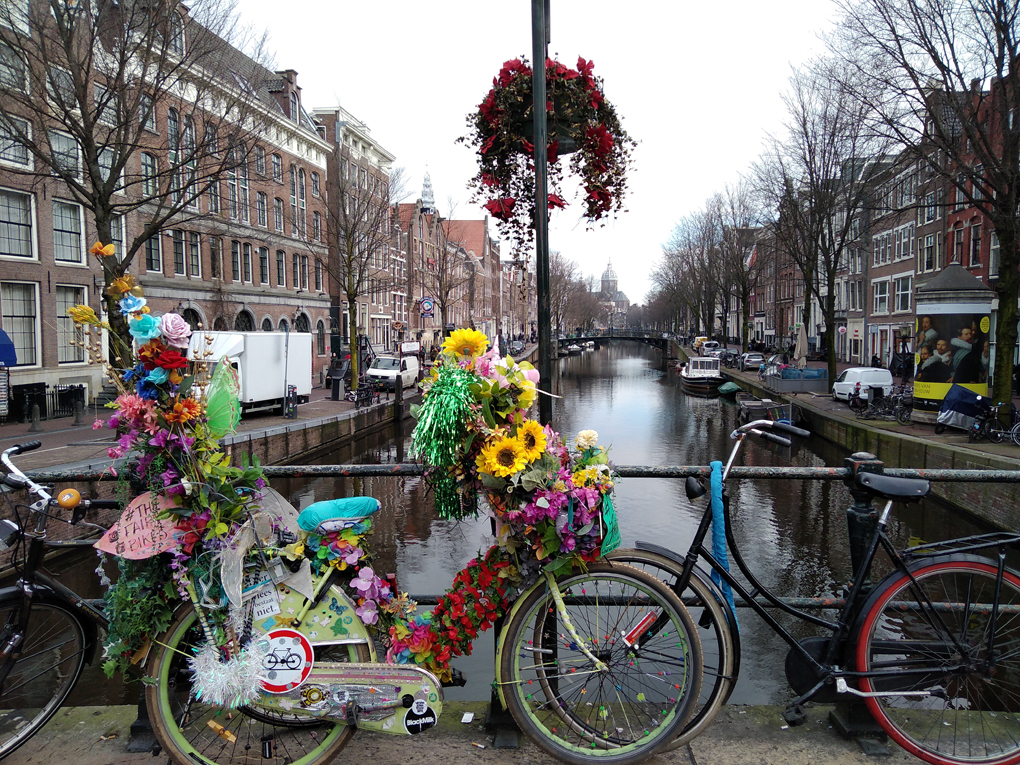 decorated bikes