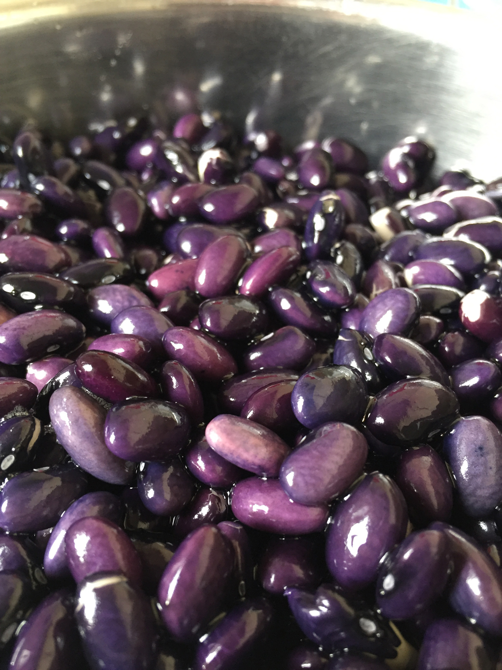 Close up of some black beans