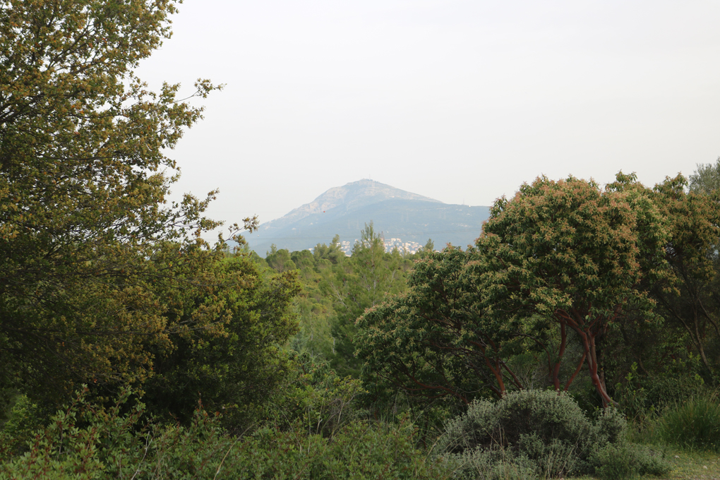 mount perdeli on a sunny day