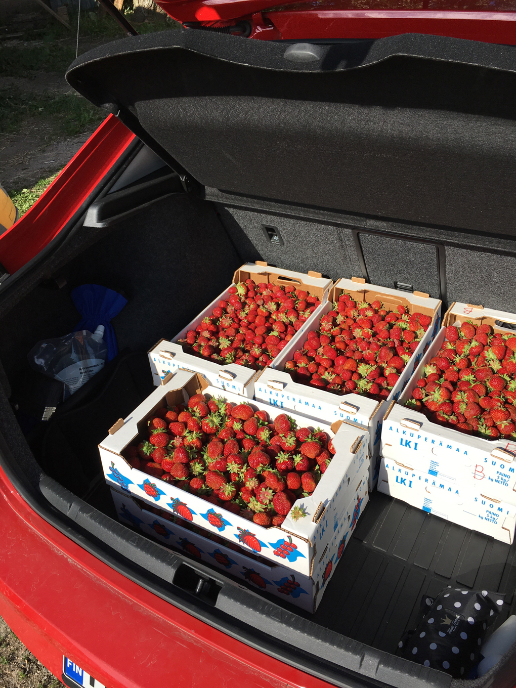 A car boot full of strawberry boxes