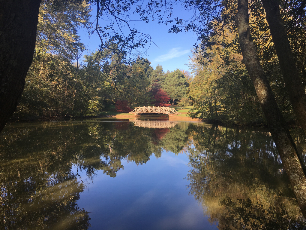 Autumnal tree foliage reflected in lake