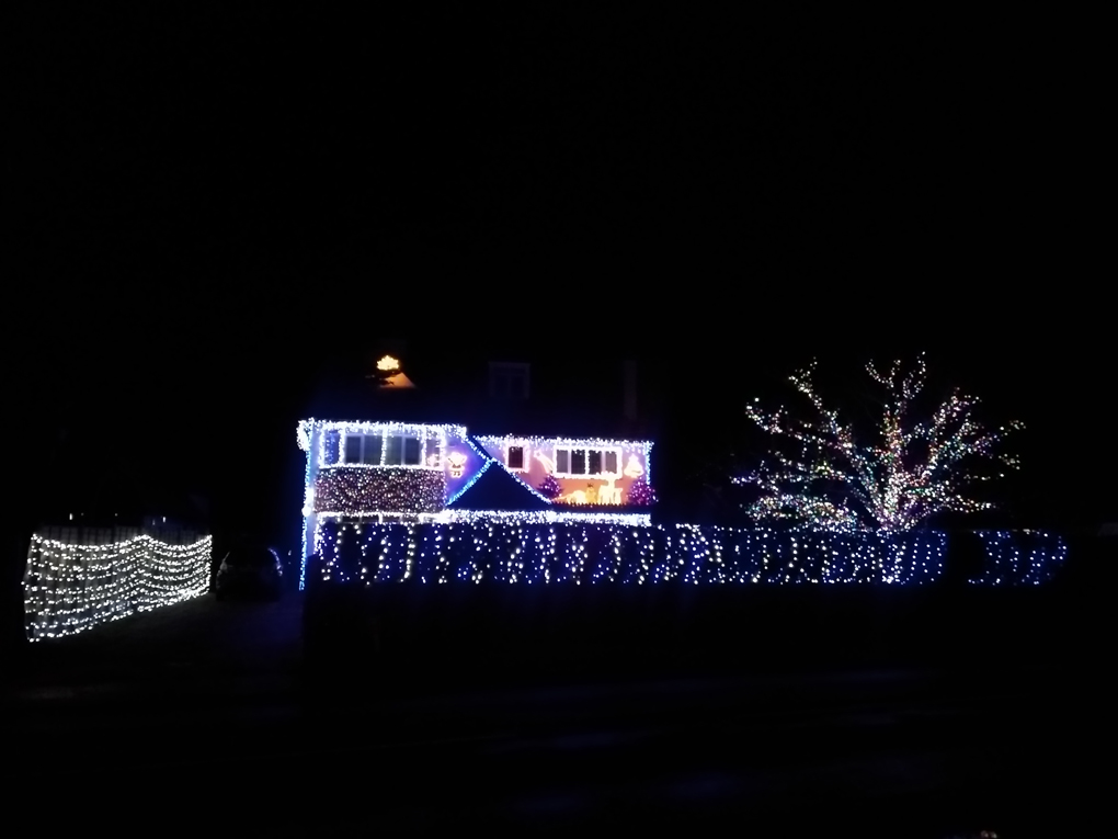 A house and garden lit entirely by fairy lights