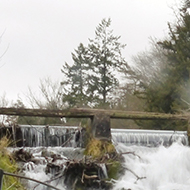 small waterfall by a house