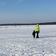 Snowy vista of frozen sea and people walking on it.