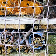 bug hotel