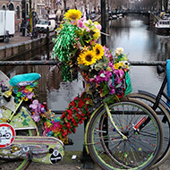 decorated bikes