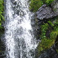 A waterfall in Cardingmill Valley, Church Stretton.