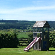 obstacle course in a garden