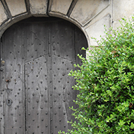 wooden door in a wall