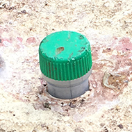 Our 500th Geocache Find