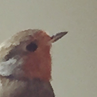 A robin sitting on the top of a wooden chair, indoors