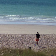 A path over the dunes leading to an emty beach bathed in sunshine