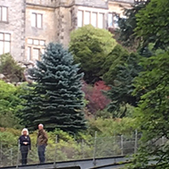 stately home in the woods with a bridge in front