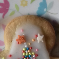 Starry eyed gingerbread man