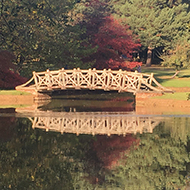 Autumnal tree foliage reflected in lake