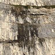 limestone rock face