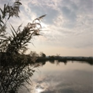 A wintry lake surrounded by reed beds, but it was so cold even wildlife weren’t venturing out that day. The sun did not break through the clouds but a glimmer was reflected in the water and the high clouds looked like wispy threads. Even the pub shut early so I missed my rum and blackcurrant!☹️