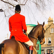 huntsman on horse surrounded by hounds in a street