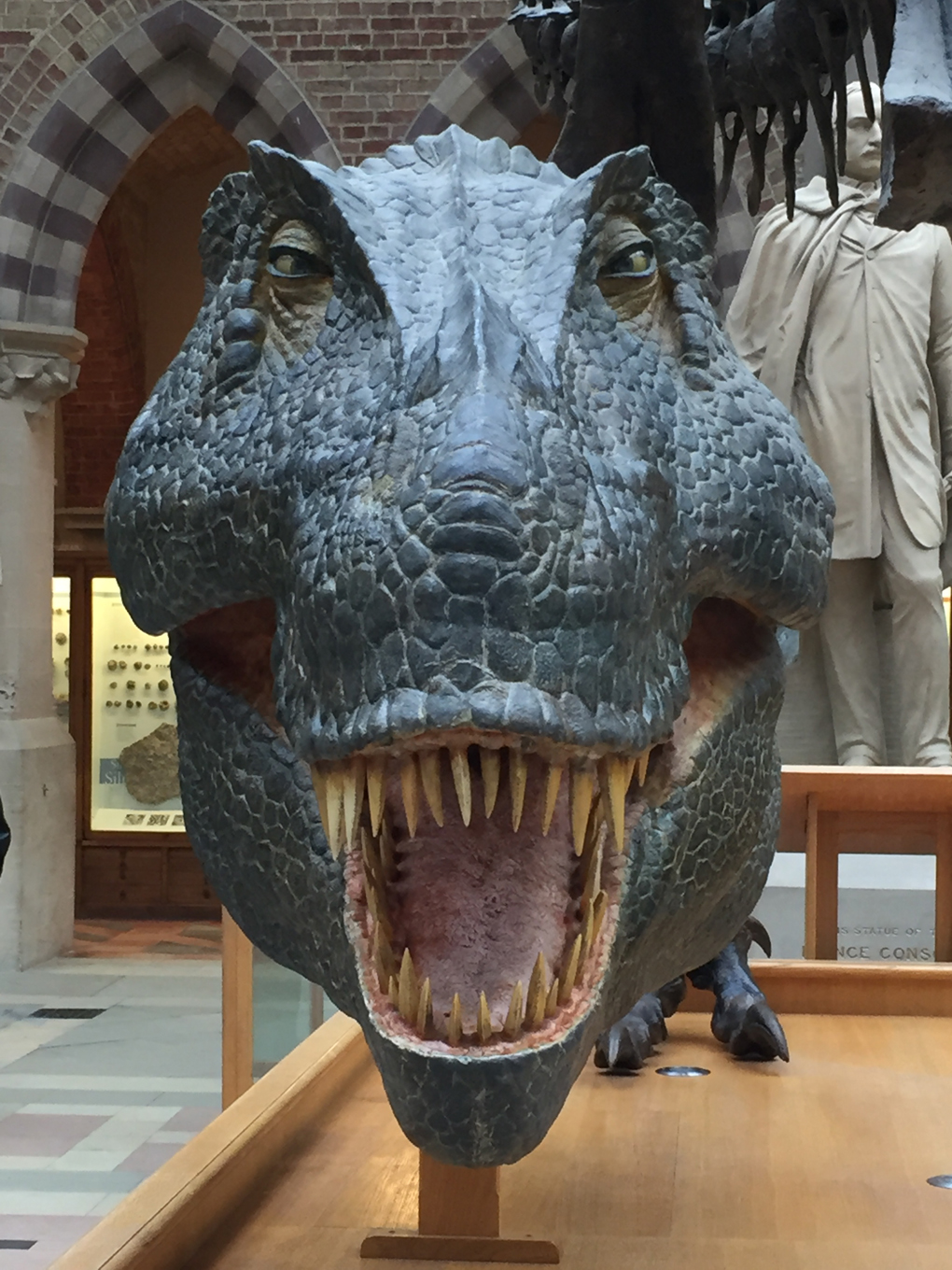 A giant T. Rex head model, viewed face-on