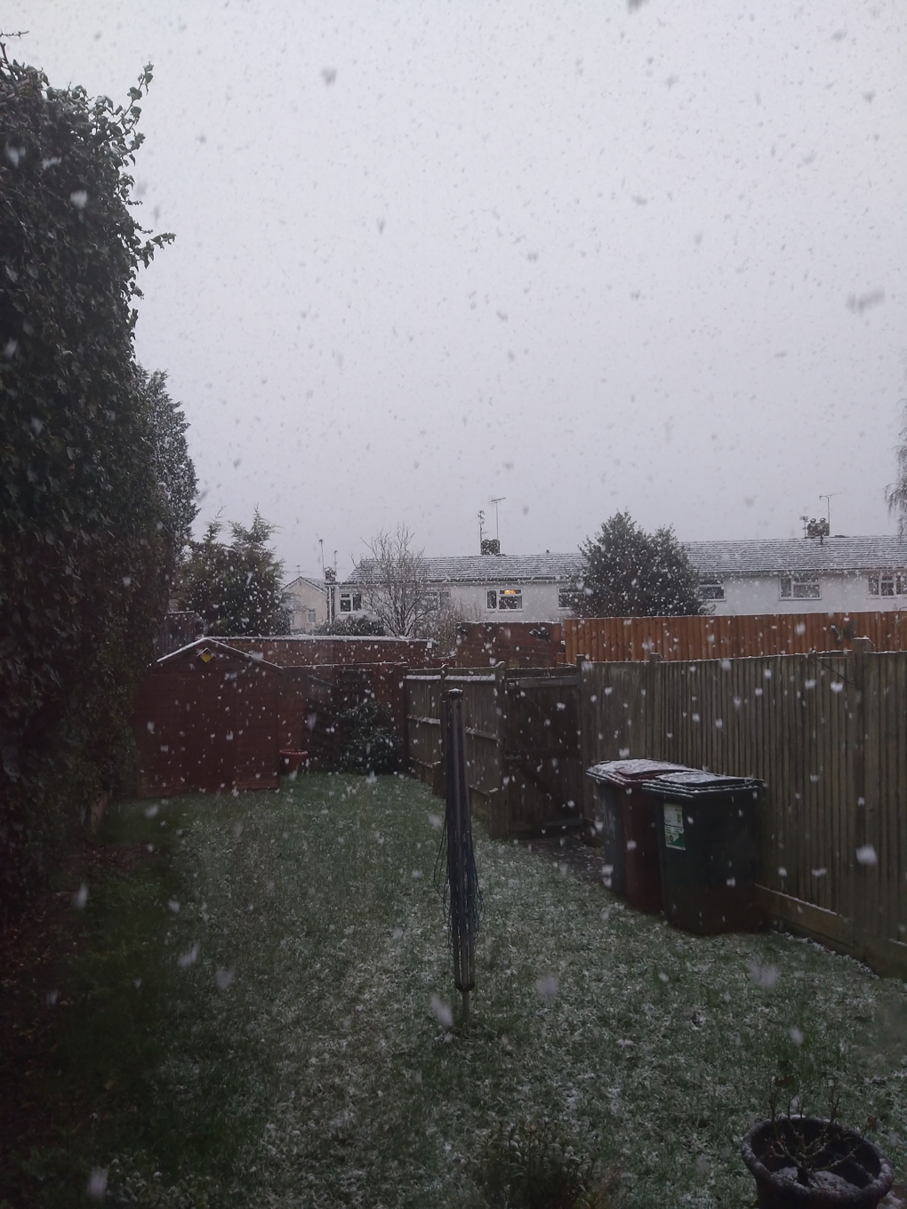 A view of the back garden with snowflakes speckled all across it.