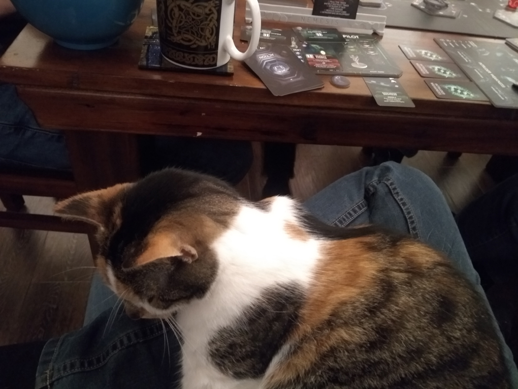 A cat on a lap in front of a table on which games are being played