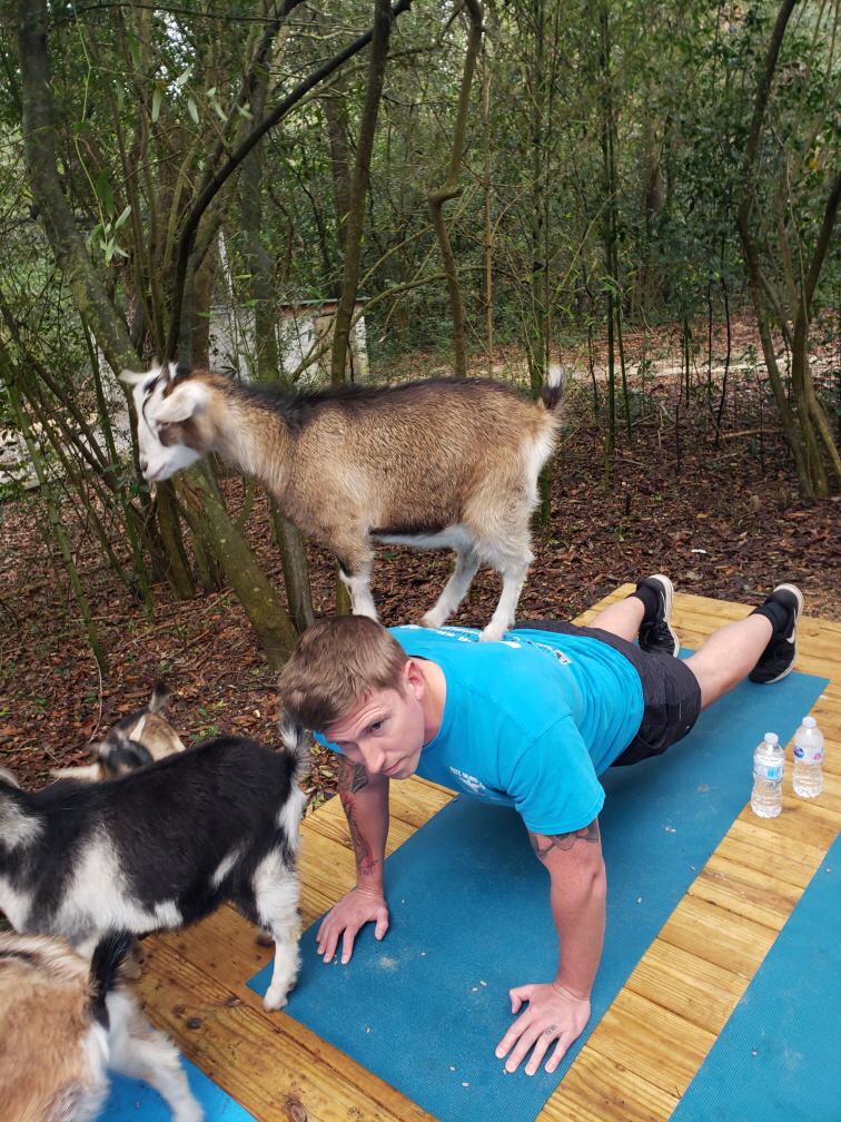 Goat Yoga