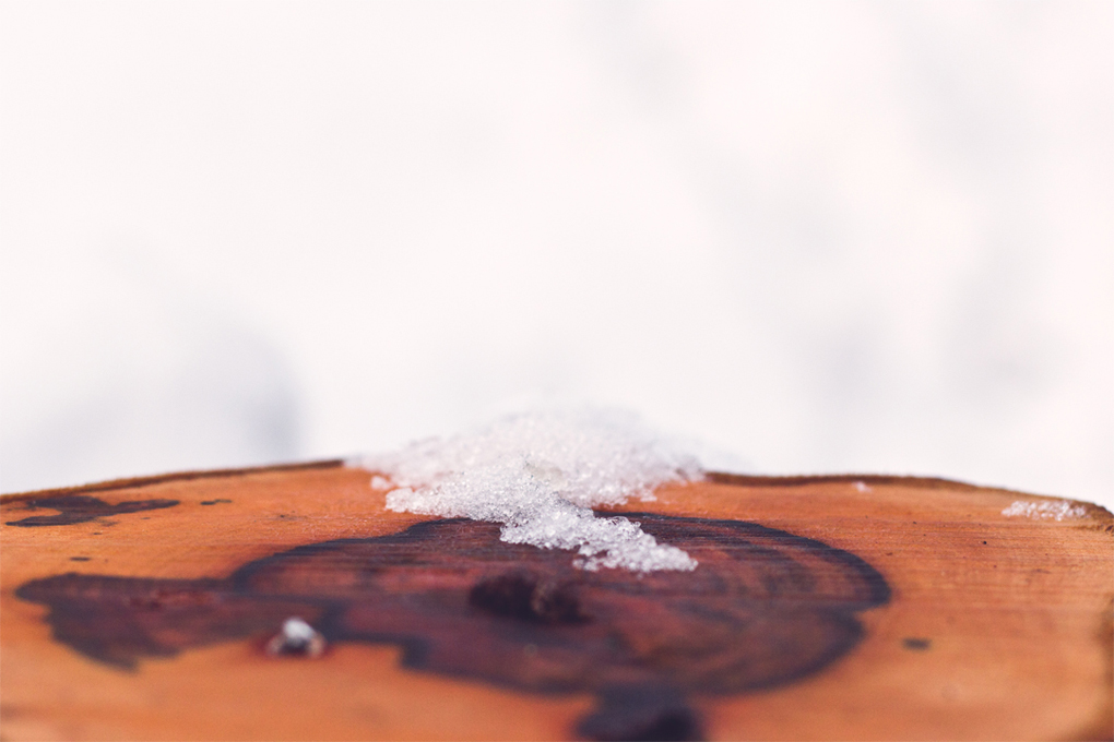 Snow resting on a felled log.