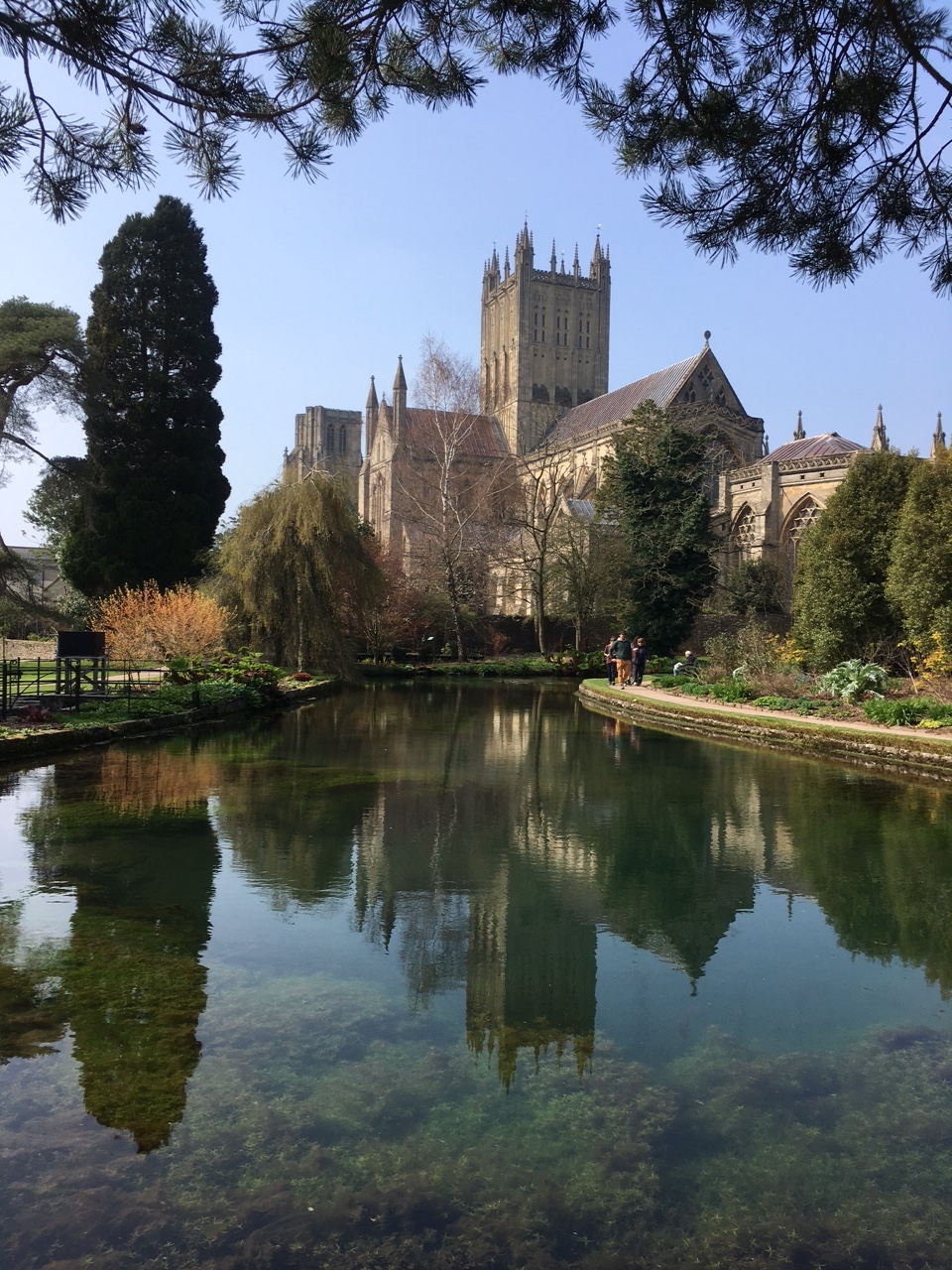 Rear view of Wells Cathedral with reflection in one of the wells that Wells takes it's name from.