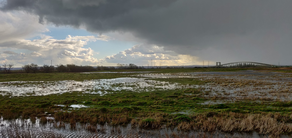 A view across Elmley Nature Reserve towards the Sheppey Crossing