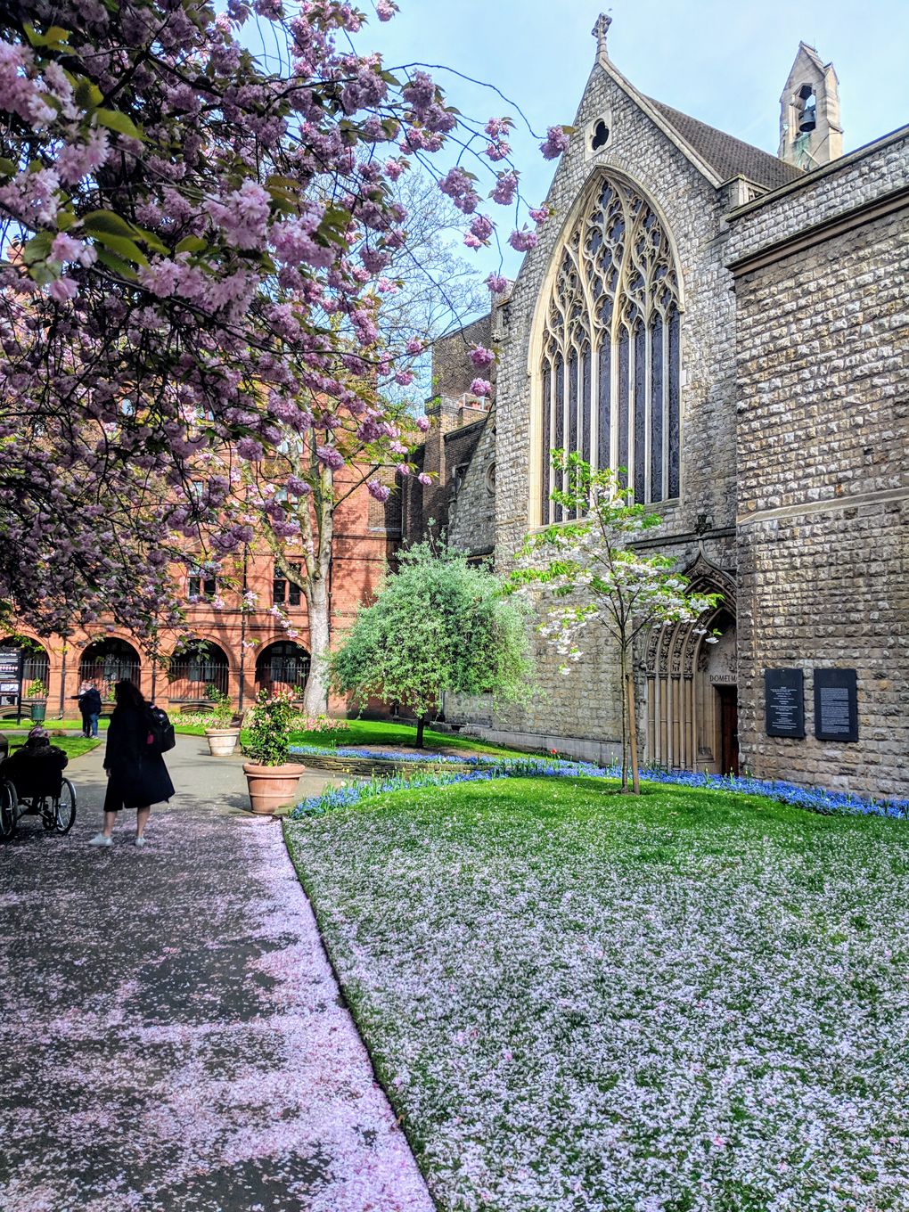 Farm street Church in Mount Street Gardens; bluebells and blossom
