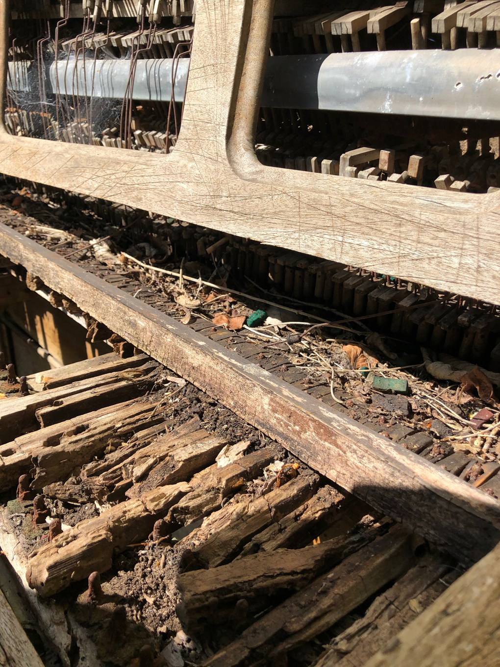 A close up of an old organ keyboard. The instrument has been left outside and so it is badly damaged and unplayable.