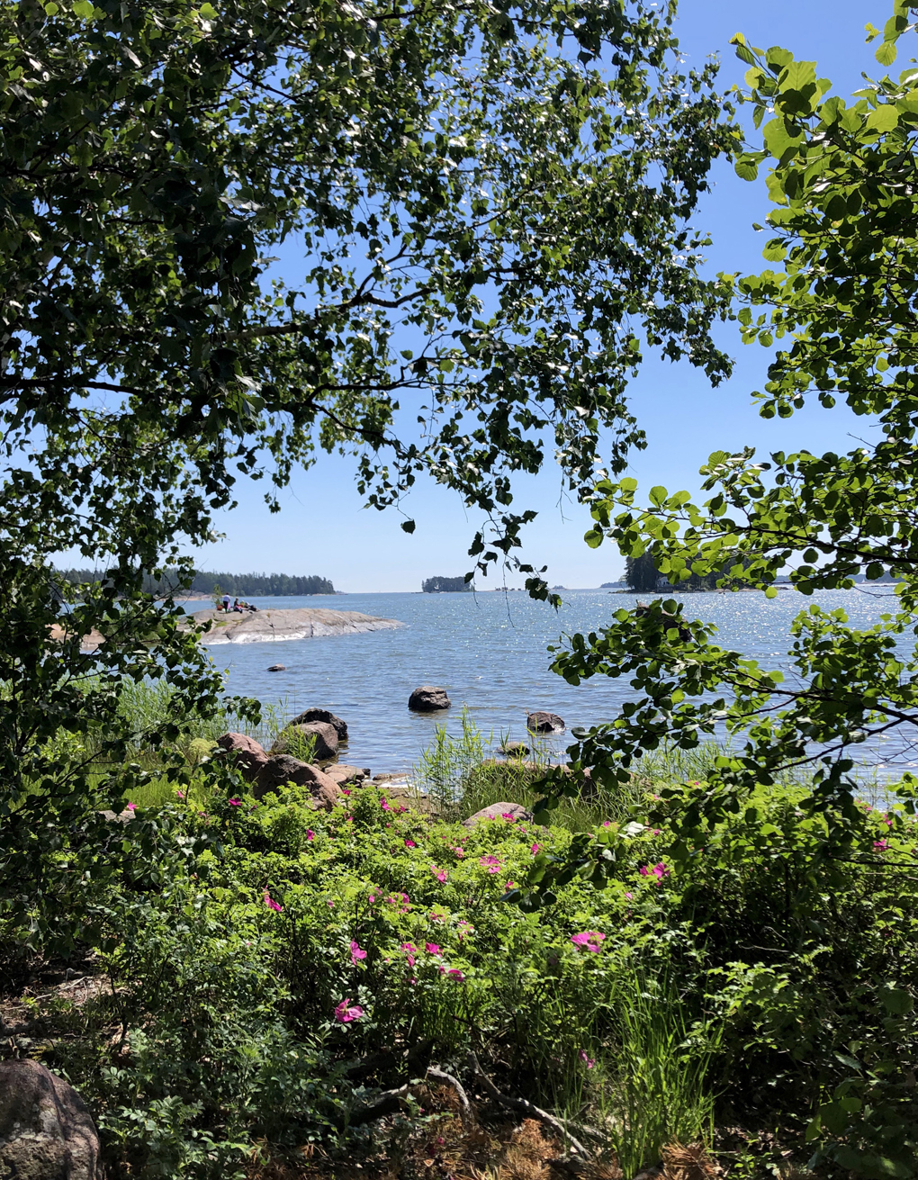 View of the sea through leaves.