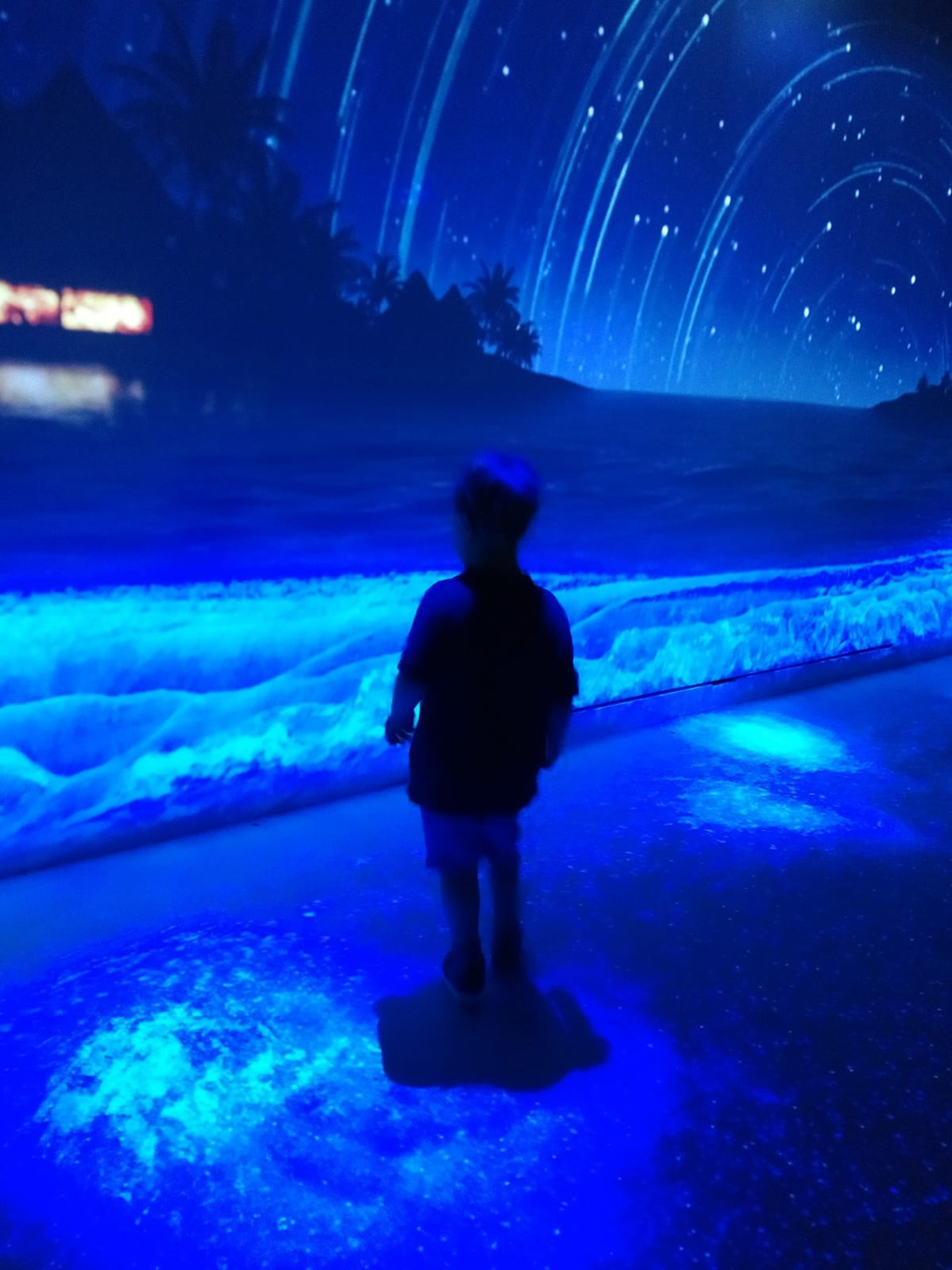 boy standing in blue light looking at a picture of a pyramid