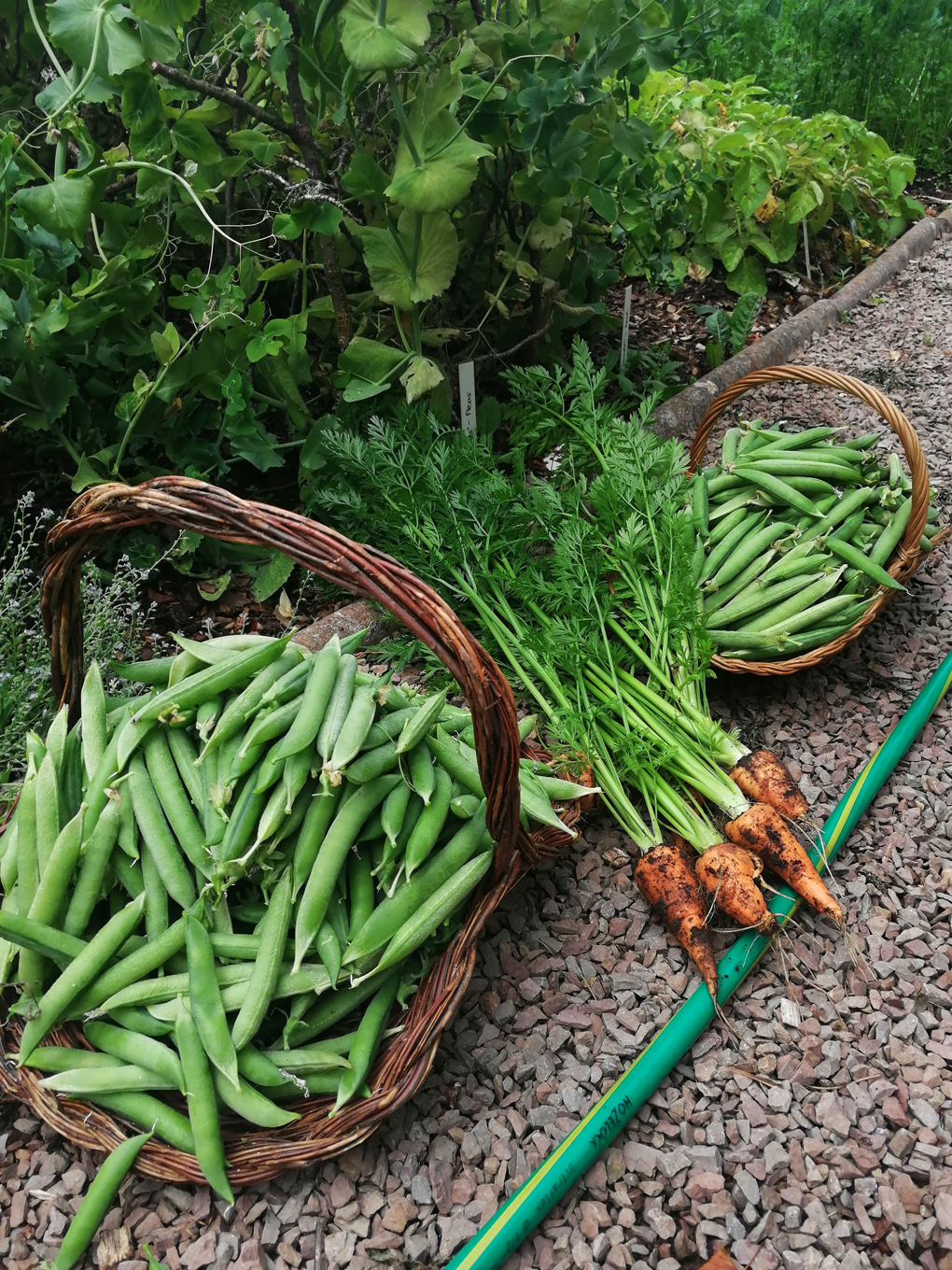 Fruit and veg