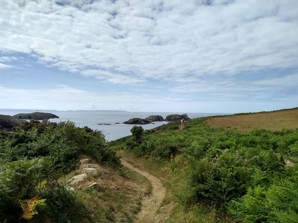 View of Pembrokeshire coastal path towards the sea. Rocks, ferns and distant walkers.