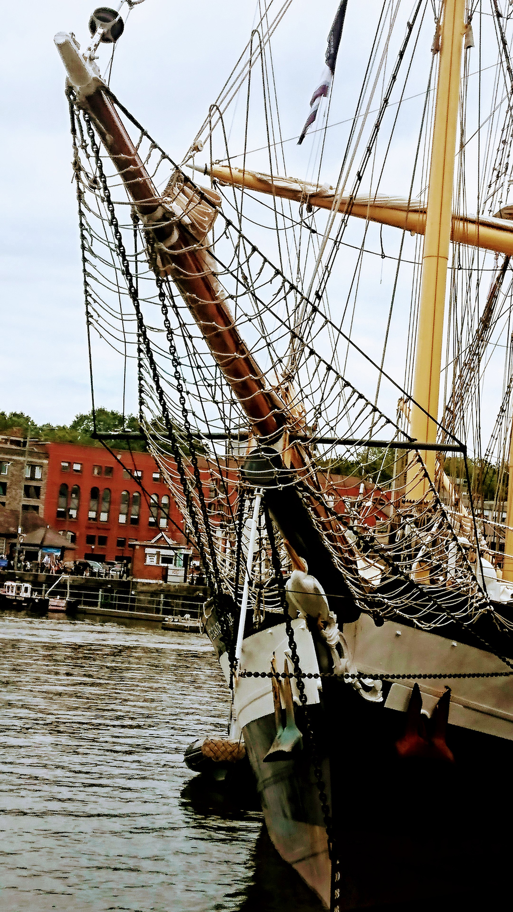 A picture of a lovely old Tall Ship proudly displaying a Pelican as it’s figurehead on the prow - they usually have a fair maiden as figurehead so this is unusual. The ship is called The Pelican of London and was a lovely visitor to Bristol, clad in all its rigging.