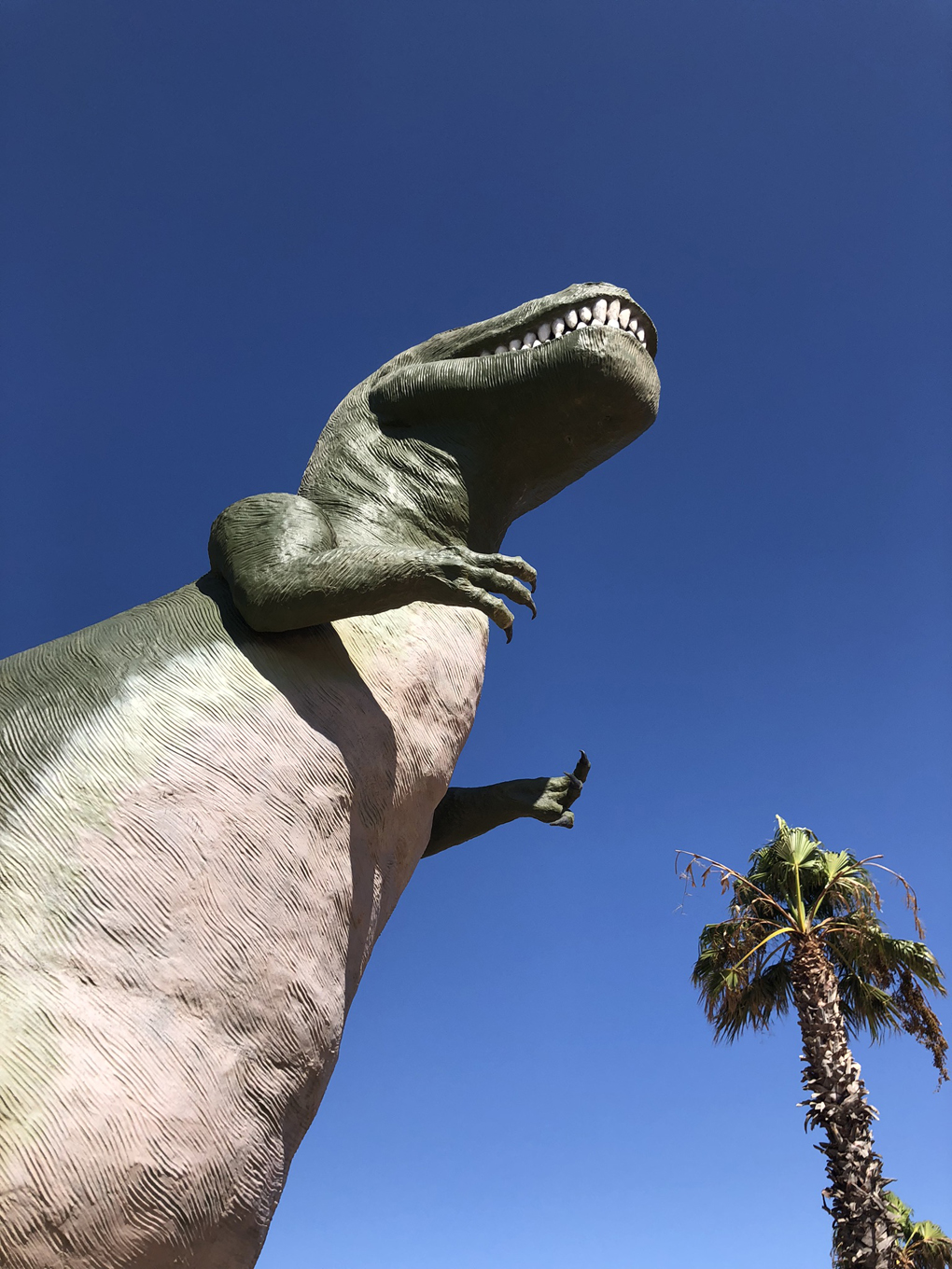 Cabazon dinosaur with blue sky and palm tree