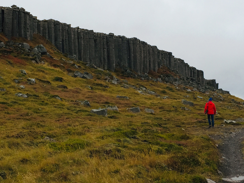 Basalt Cliffs in Iceland