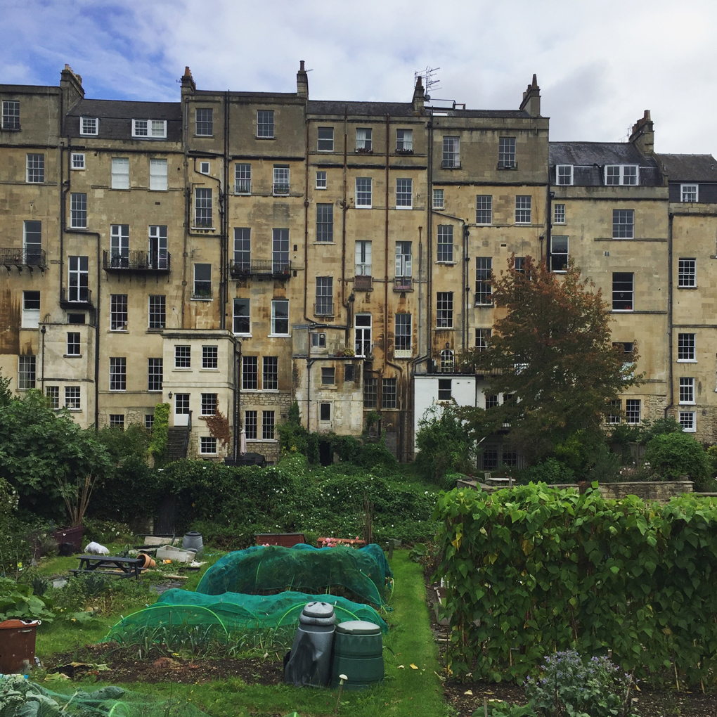 The backs of 7 Georgian terraces, with almost 100 different windows scattered around.