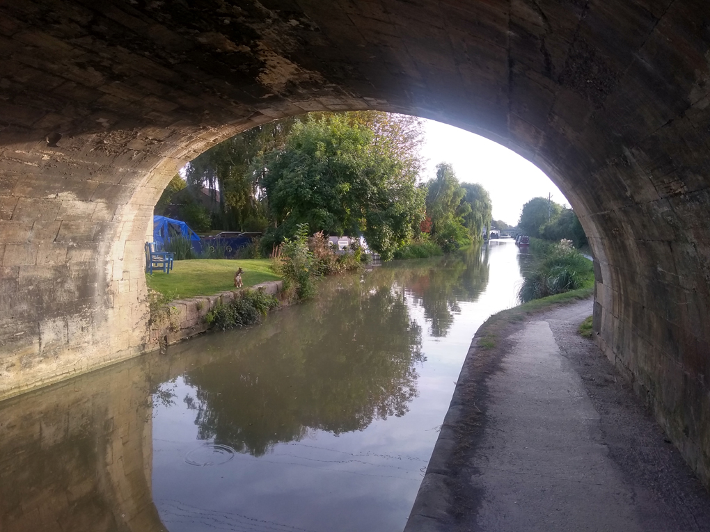 View from underneath bridge of canal, autumn colours, dog in garden next to canal keeping lookout.