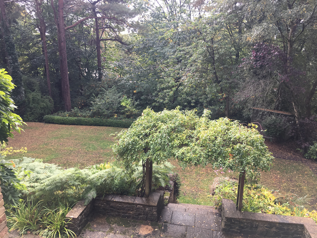 Garden view from bedroom window