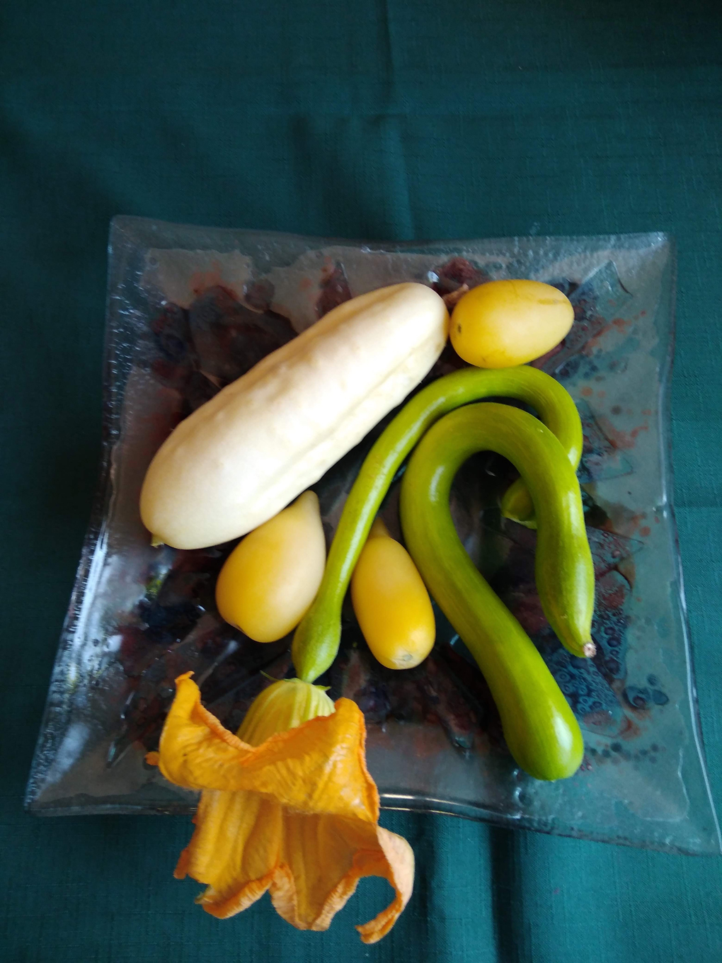 There is a white cucumber, yellow tomatoes and thin curly courgettes one with a beautiful yellow flower on o plate