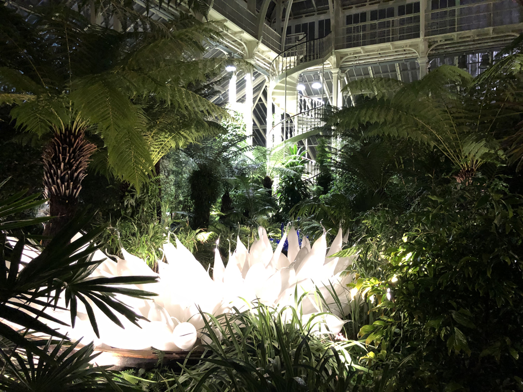 Chihuly glass artwork lit up at night in Kew Gardens