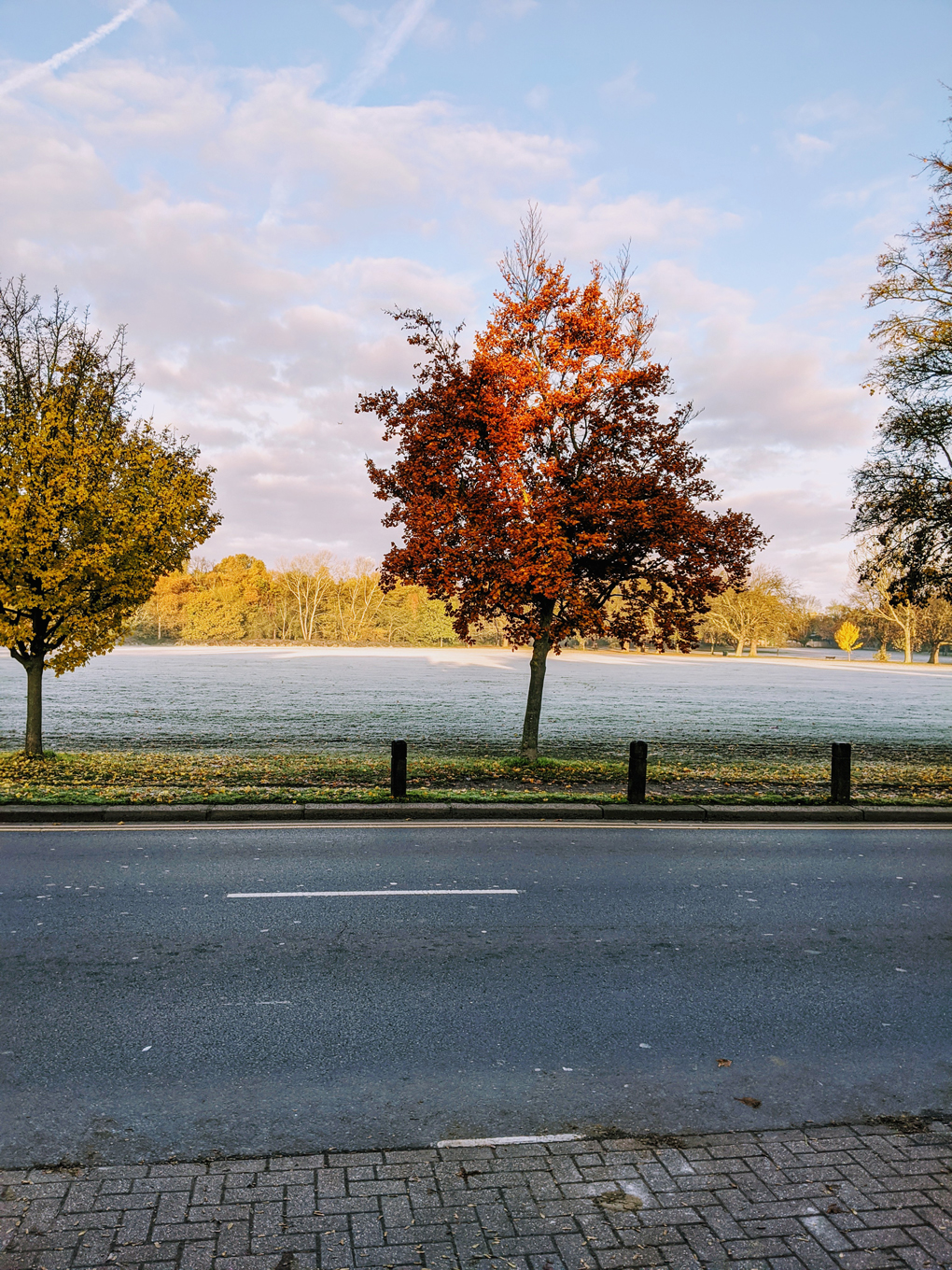 Wandsworth common under frost