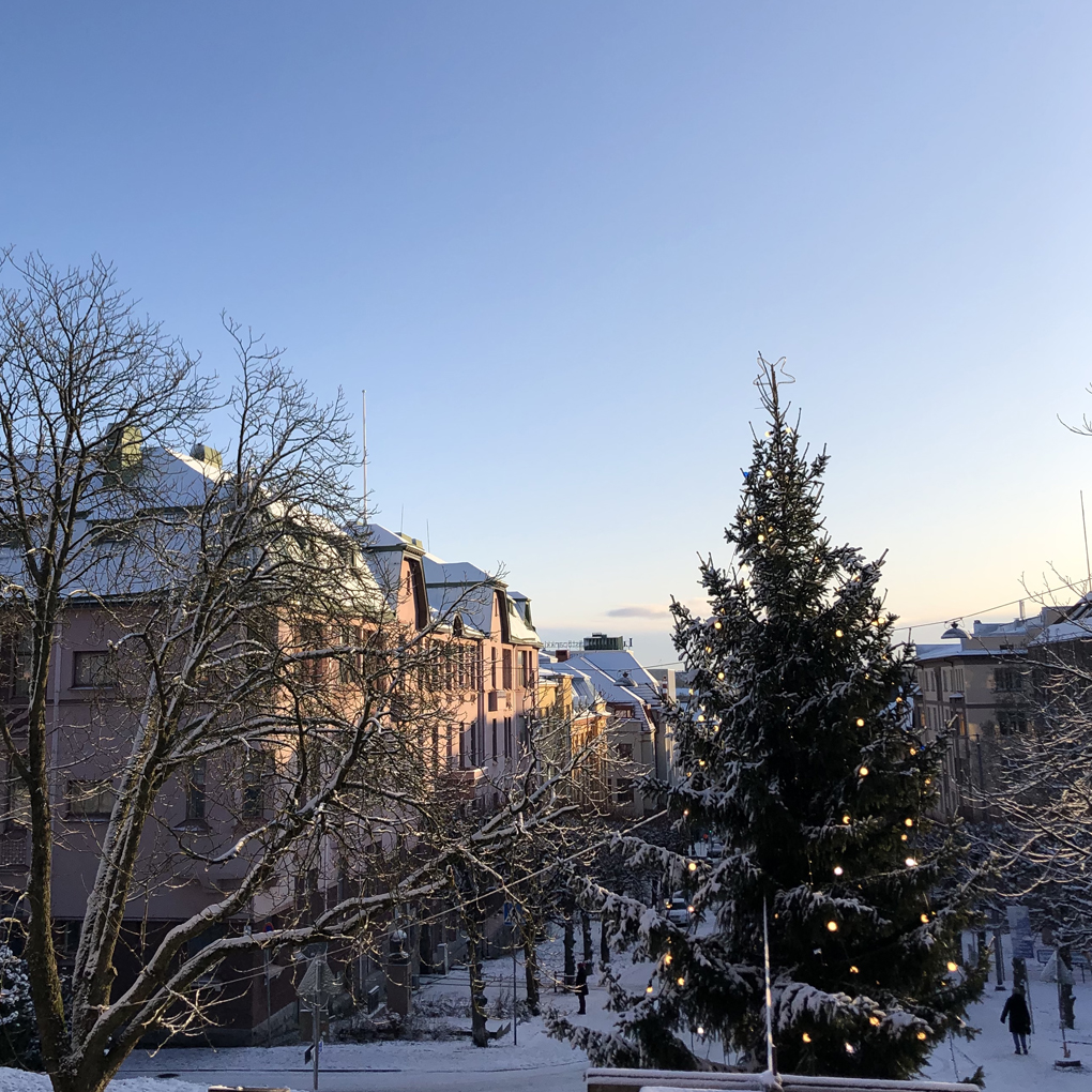 Christmas tree and buildings covered in light snow.