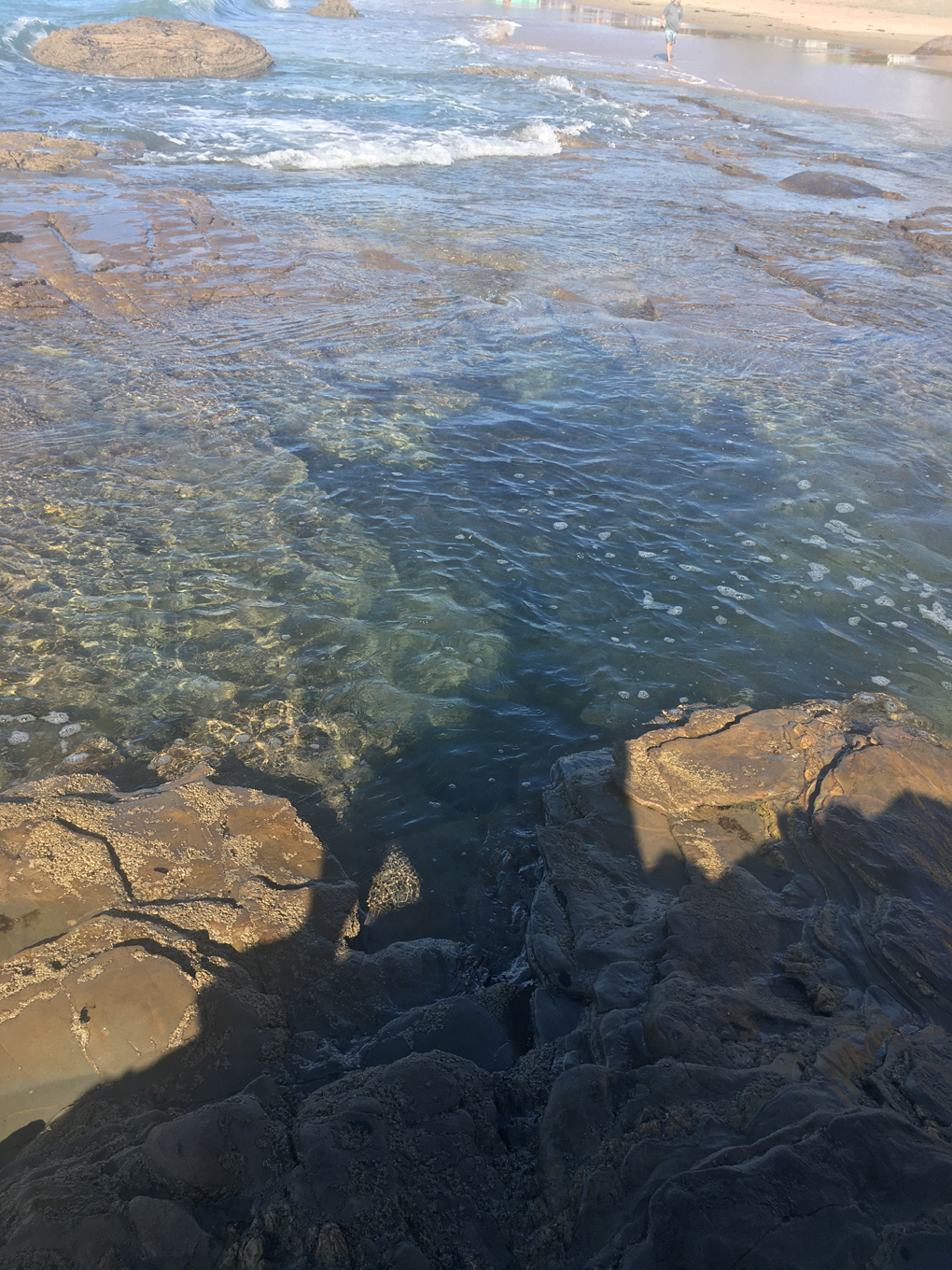 Shadows of the photographer cast over a tide pool